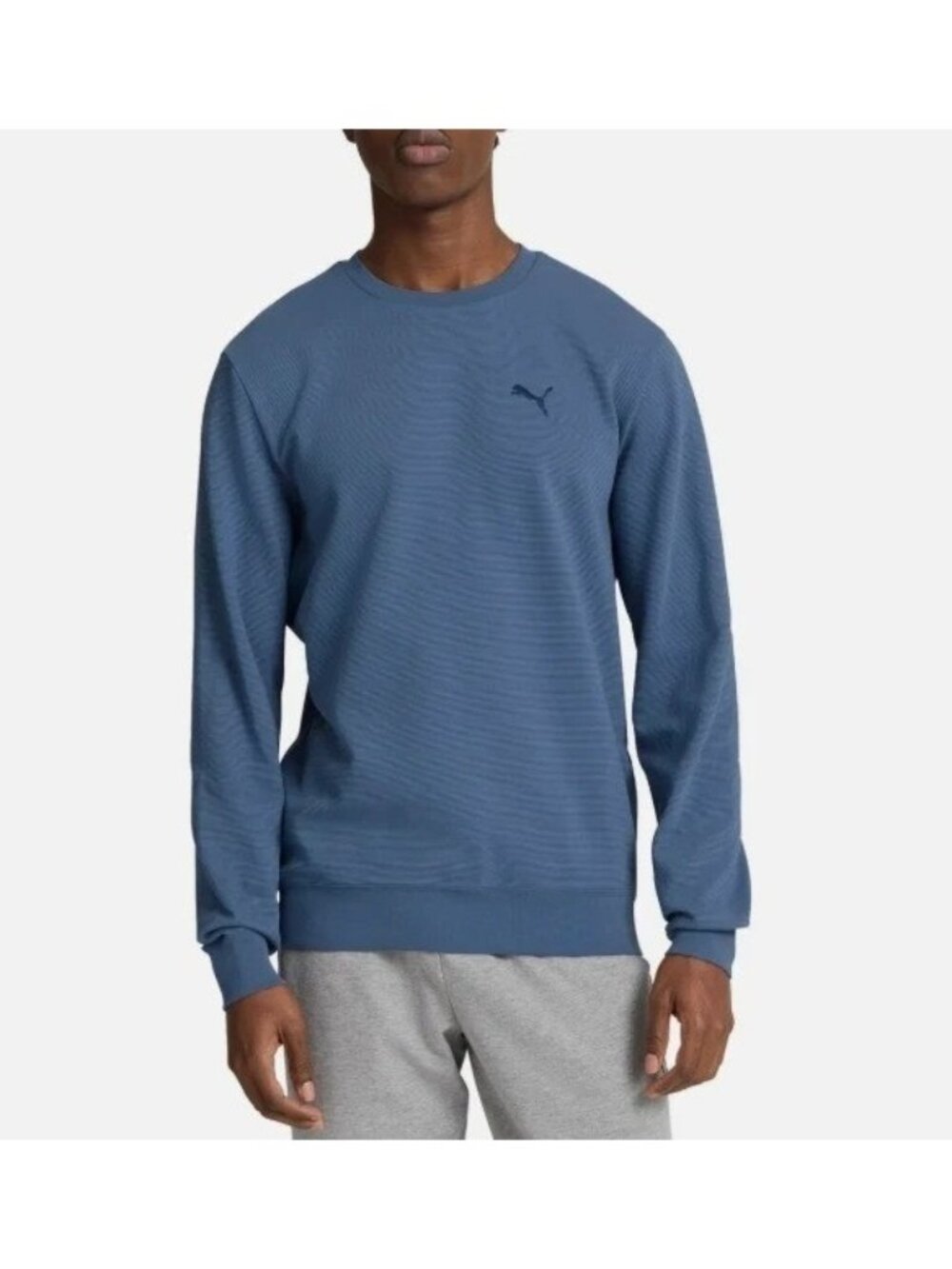 NWOT Puma Men's M Blue Crewneck Long Sleeve Sweatshirt Cotton Blend J2012